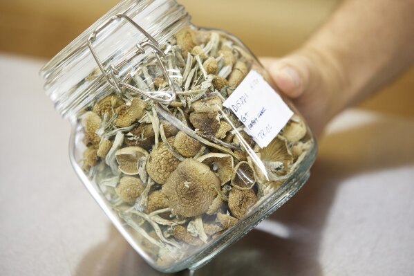 Discover the Best Places to Find Magic Mushrooms for Sale in Colorado: A Comprehensive Guide